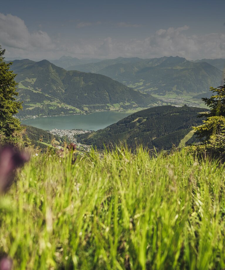 Wonderful view in the meadow over the Zeller lake and the mountain landscape | © Zell am See-Kaprun Tourismus